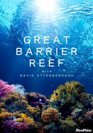 Khám Phá Rạn San Hô Great Barrier cùng David Attenborough - Great Barrier Reef with David Attenborough (2015)
