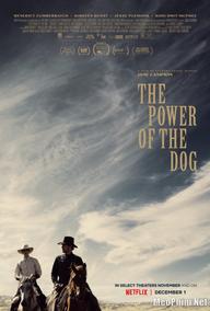 Sức Mạnh Của Loài Chó - The Power of the Dog (2021)